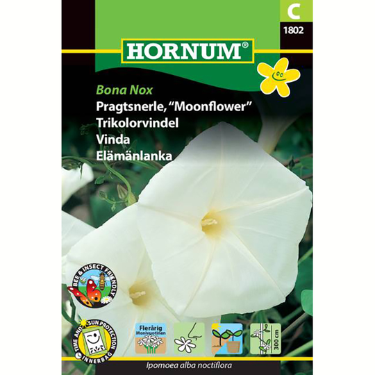 Månvinda 'Bona Nox'
