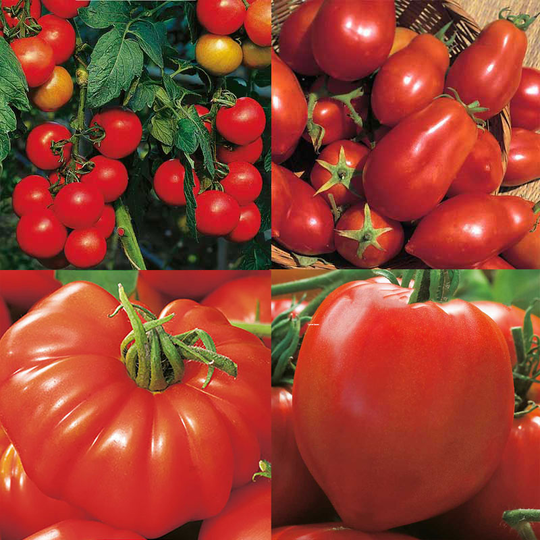 Wexthusets tomatmix