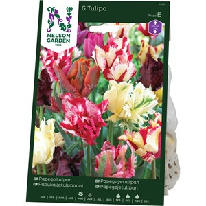 Höstlök Nelson Garden Papegojtulpan Blandade Färger