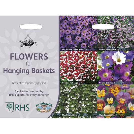Sommarblommor för ampel 6 sorter