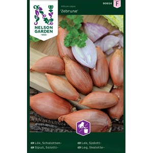 Fröer Nelson Garden Schalottenlök Zebrune