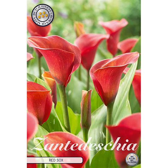 Prickkalla 'Red Sox'