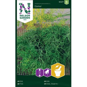Fröer Nelson Garden Vanlig dill Como