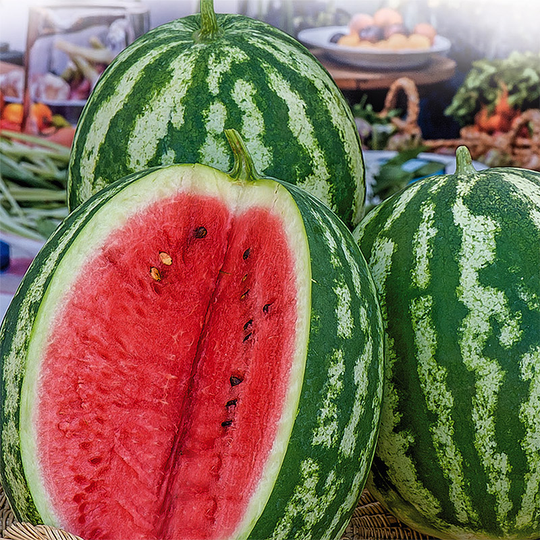 Vattenmelon 'Crimson Sweet'
