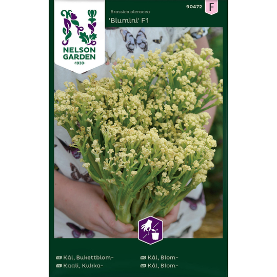 Blomkål 'Blumini' F1