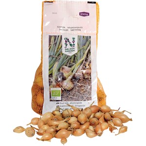 Sättlök Nelson Gul Eko, 250 g