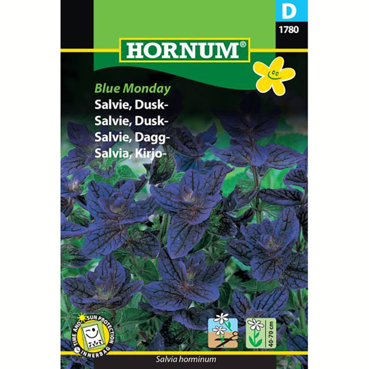 Broksalvia 'Blue Monday'