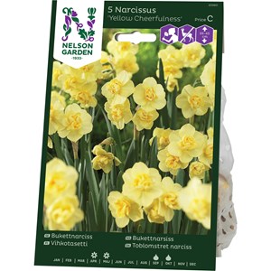 Höstlök Nelson Garden Bukettnarciss Yellow Cheerfulness Fylld