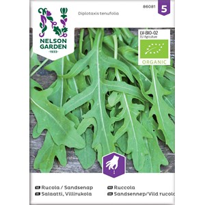 Fröer Nelson Garden Ruccola Sandsenap Organic