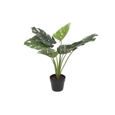 Dekorativ växt DKD Home Decor Monstera Monstera Grön PVC (65 x 65 x 60 cm)