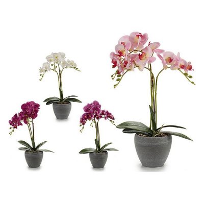 Dekorativa blommor 8430852552570 Plast Kruka (25 x 50 x 36 cm)