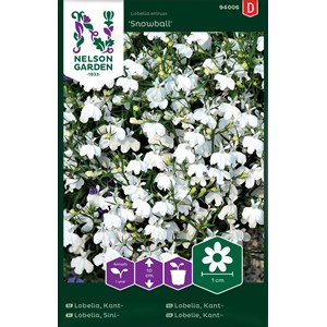 Fröer Nelson Garden Lobelia Kant- Snowball Vit
