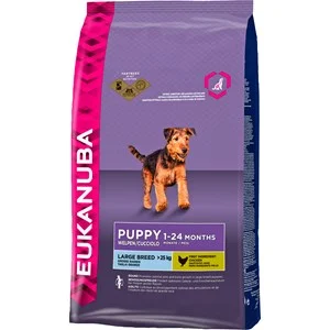 Hundfoder Eukanuba Puppy Large breed, 3 kg