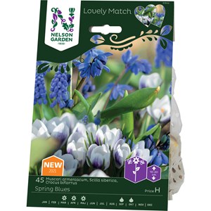 Höstlök Nelson Garden Hyacint/Scilla/Croc LM Spring Blues