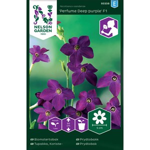 Fröer Nelson Garden Blomstertobak Perfume Deep Purple F1