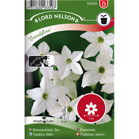 Blomstertobak 'Grandiflora'