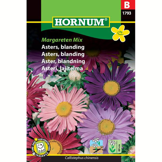 Aster 'Margareten Mix'
