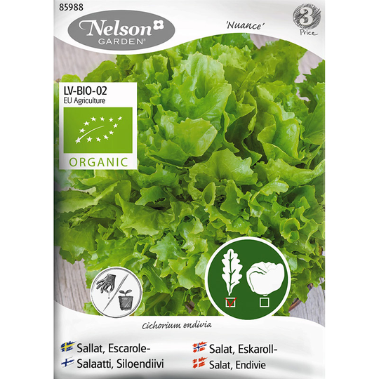 Friséesallat Nuance, ekologisk