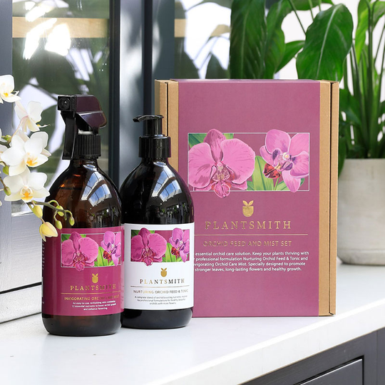 Orchid Gift Box