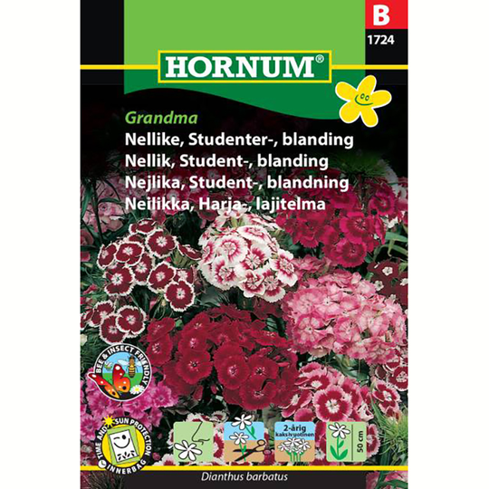 Borstnejlika 'Grandma'