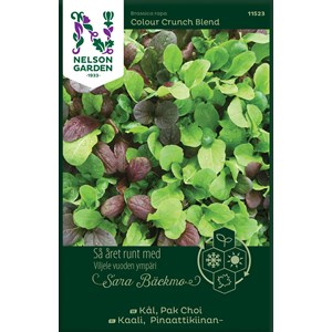 Fröer Nelson Garden Sara Bäckmo Kål Pak Choi Mix