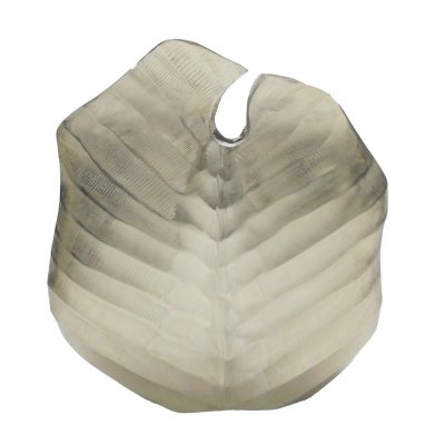 Vas DKD Home Decor Gyllene Aluminium Tropiskt Löv av en växt (28 x 8 x 30 cm)