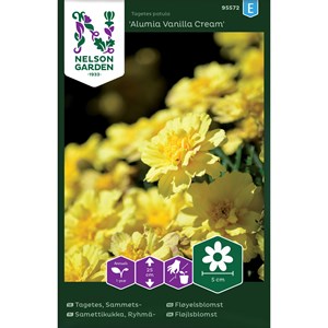 Frö Nelson Garden Sammetstagetes Alumia Vanilla Cream