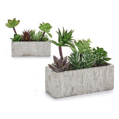 Dekorativ växt Grå Grön Keramik Plast (9 x 20 x 21,5 cm)