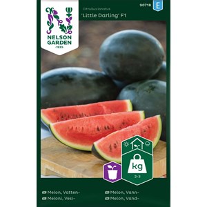 Fröer Nelson Garden Vattenmelon Little Darling F1