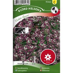 Fröer Nelson Garden Strandkrassing Violett Queen