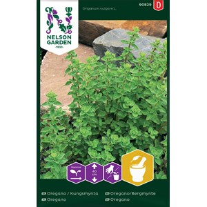 Fröer Nelson Garden Oregano Kungsmynta