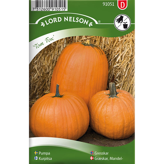 Pumpa 'Tom Fox'