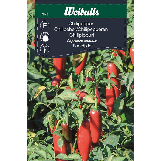 Chilipeppar 'Foradjido'