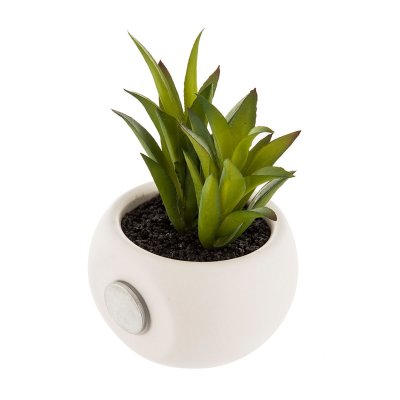 Dekorativ växt Atmosphera Magnet PVC