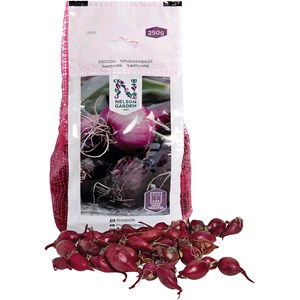 Sättlök Nelson värmebehandlad röd, 250 g