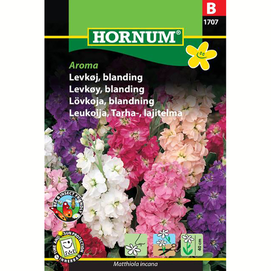Lövkoja 'Aroma'