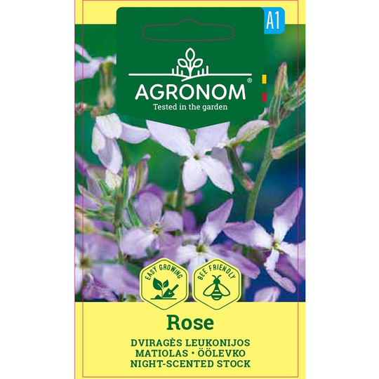 Grekisk lövkoja Rose (mini)