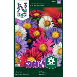 Fröer Nelson Garden Aster Enkel Blandade färger