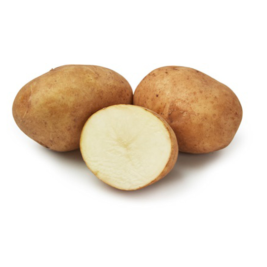 Rocket, sättpotatis