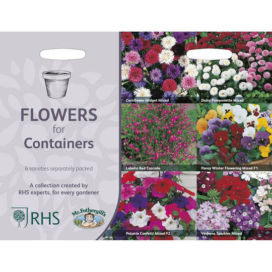 Sommarblommor för kruka 6 sorter