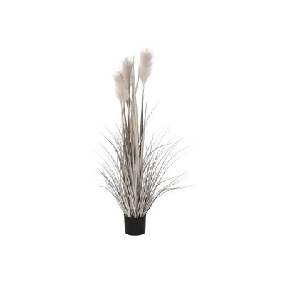 Dekorativ växt DKD Home Decor Borste (35 x 35 x 120 cm)