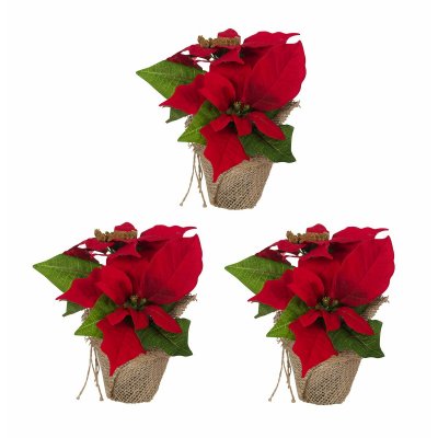 Dekorativa blommor Jul (Renoverade B)