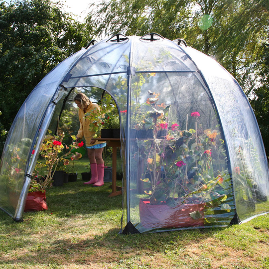 Växthus Sunbubble, Large