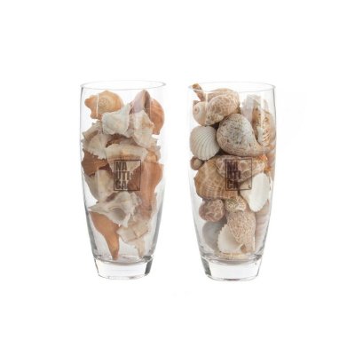 Vas DKD Home Decor Snäckor Glas (10 x 10 x 23 cm) (2 antal)
