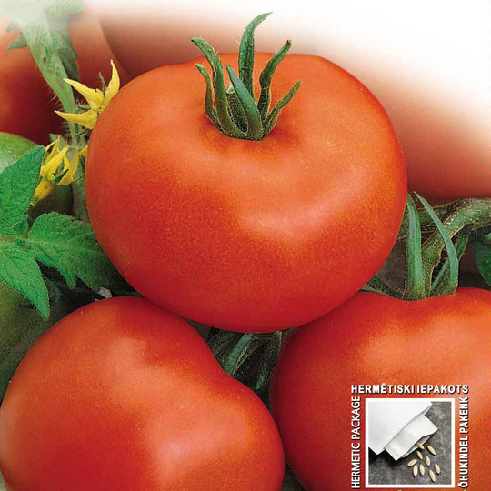 Tomat 'Betalux'