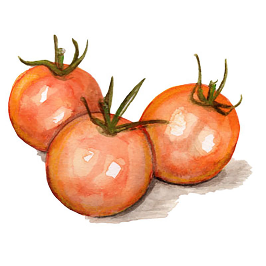 Körsbärstomat 'Goldiana'