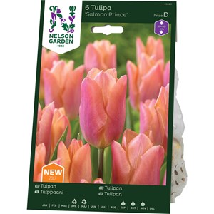 Höstlök Nelson Garden Tidig Enkel Tulpan Salmon Prince Laxrosa