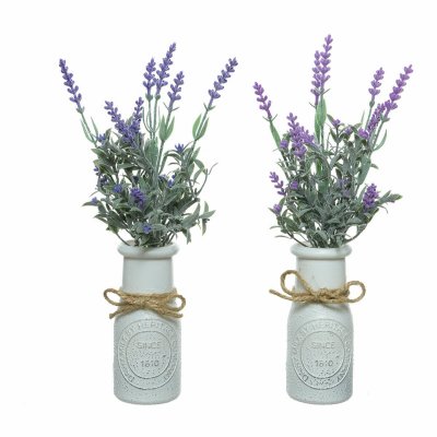 Dekorativ växt Everlands Kruka Lavendel (Ø 13 x 32 cm)