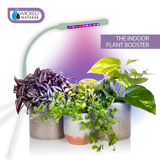 Växtlampa LED 7W USB, mint/vit