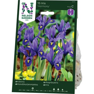Höstlök Nelson Garden Våriris Harmony Blå